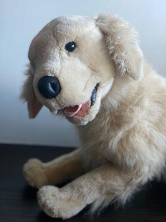 Plyšový psík,
