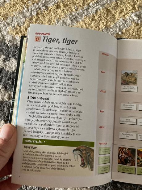 Tigre výprava do barín, 