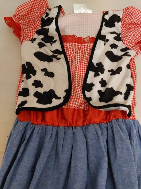 Karnevalové šaty s, 