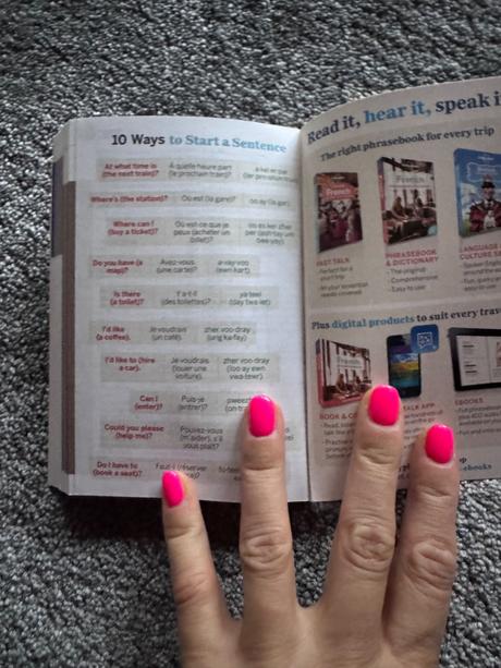 French phrasebook & dictionary,