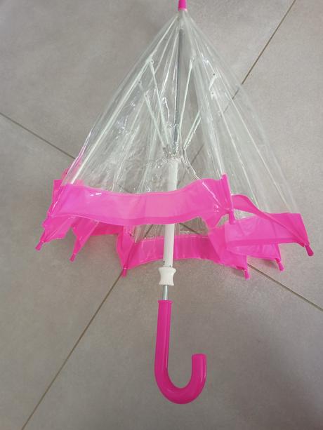 Priesvitný dáždnik, 