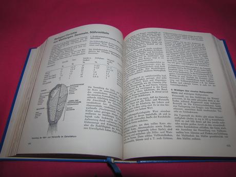 Kuchárska kniha bayerisches kochbuch, 