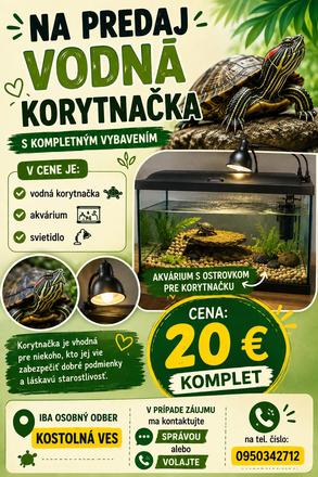 Vodná korytnačka,
