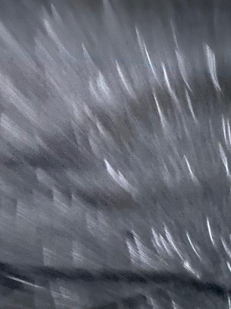 Darujem teplaky vel. 140, 140