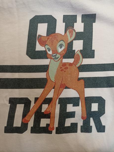 Bledoružové tričko, 32