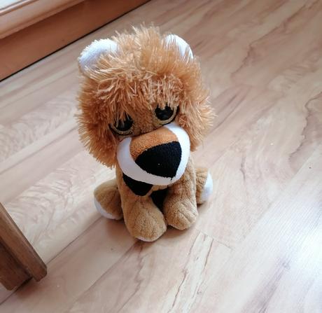 Levik s lesklými očami a motýlikom, 