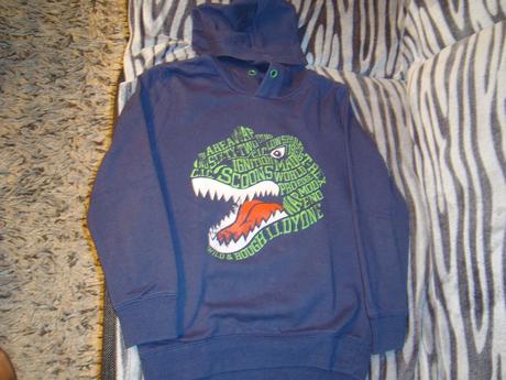 Mikina s dinosaurom, takko,122