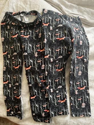 Leginy olbia 110,116, 110