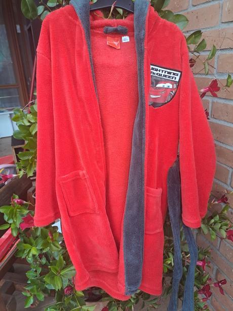 Župan mcqeen, disney,140