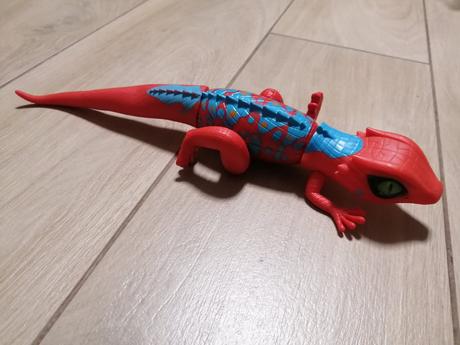 Robo jašter, jašterica červená,