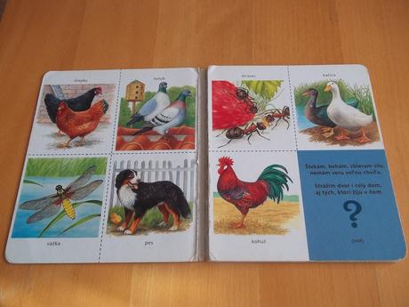 Knižka - prasiatko hľadá zvieratká.,