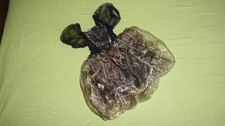 Leopardie satocky od george, 