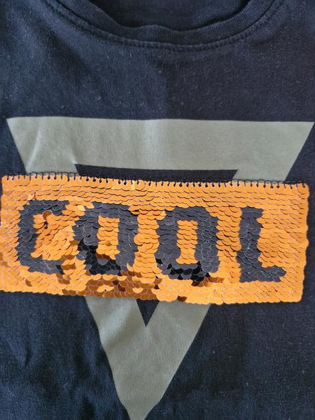 Tričká, alpine pro,104