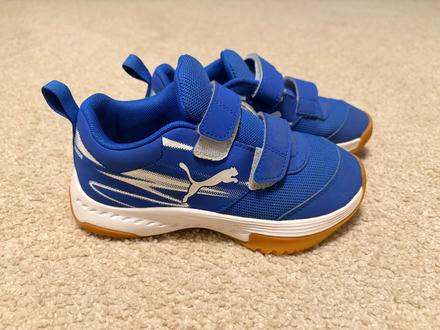 Botasky puma, puma,31