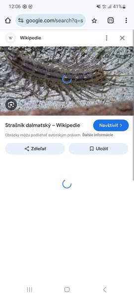 Ako sa zbaviť dlhonožky v domácnosti?