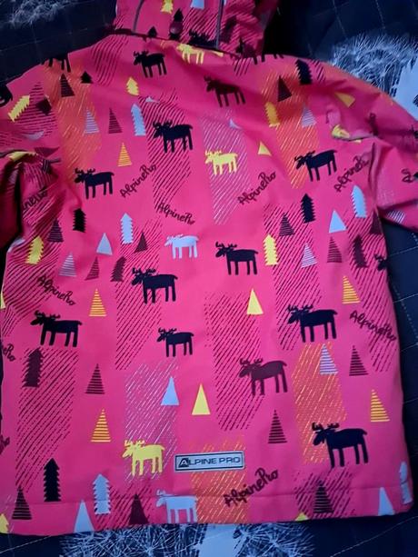 Lyžiarsky komplet alpine pro, alpine pro,134