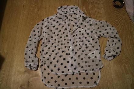 Paradna kosielka, terranova,110