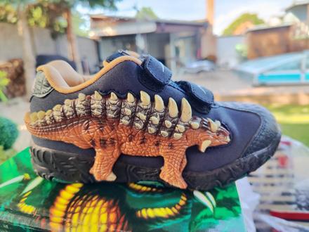 Tenisky dinosaurus, 29 - 35