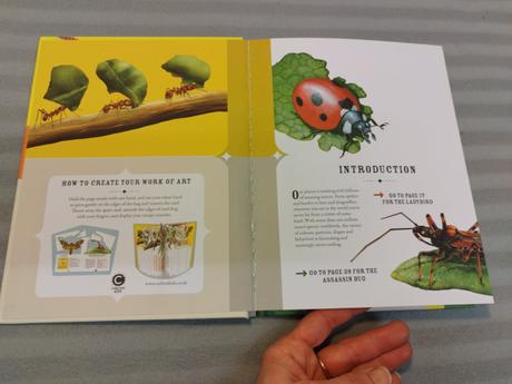 The incredible world of bugs hb nau23, 