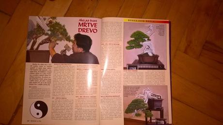 Časopis "bonsaj a caj", 