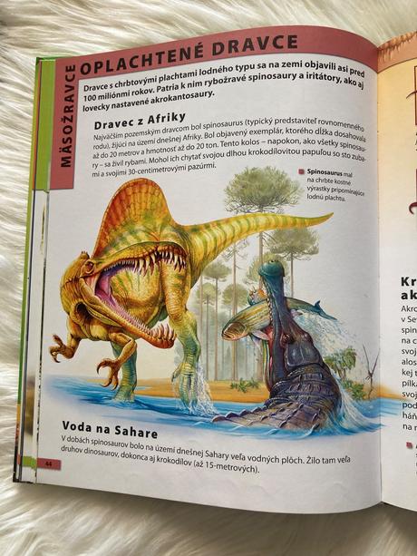 Dinosaury encyklopédia pre deti vo veku 7-10 rokov,