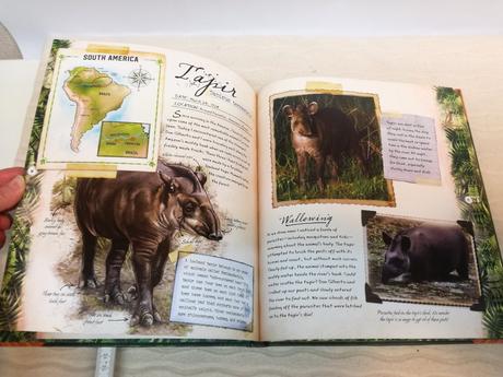 Ultimate expeditions rainforest explorer sp21, 