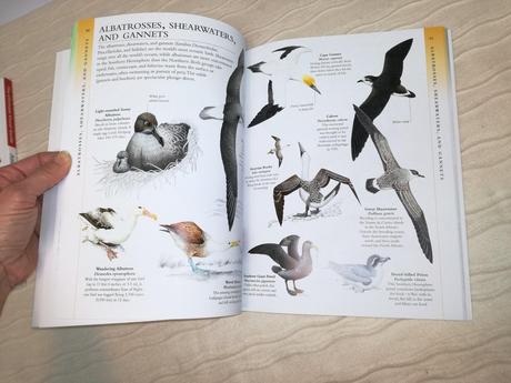 Animal kingdom ultimate visual guide nsu18,