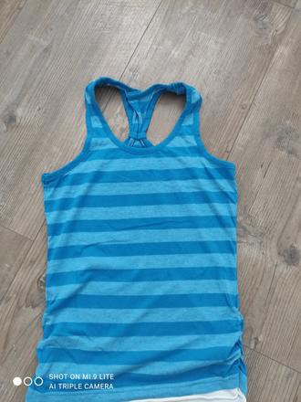 Modre pasikove tielko, s