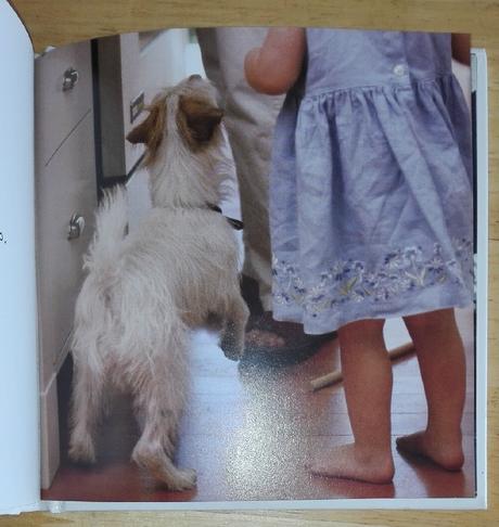 Keby psy rozprávali , joel zadak, 