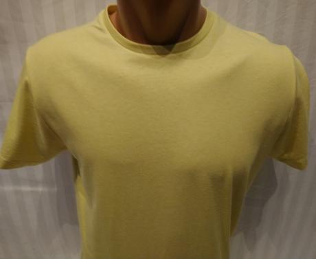 Pánske žlté tričko, cedar wood state, s