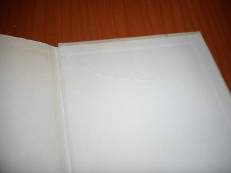 Oneskorené reportáže, ladislav mňačko,