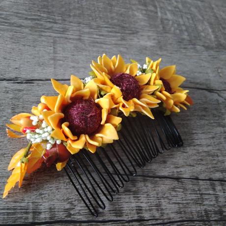 Hrebienok slnecnica,