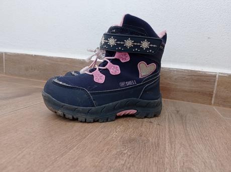 Snehule american, 27