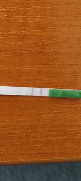 Ovulačný test dr. Max