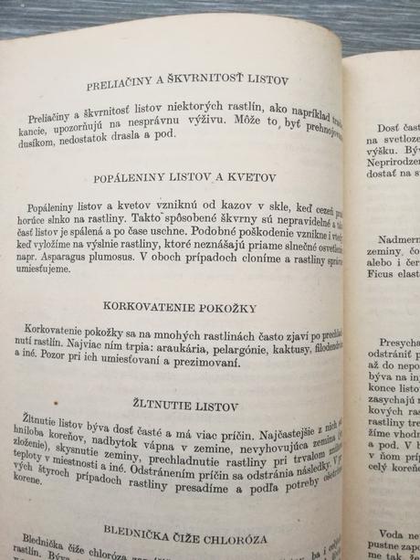 Okrasné rastliny v byte a na pracovisku, 