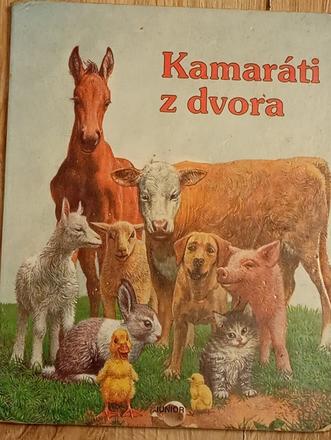 Kamaráti z dvora , kamaráti z vidieka ô, 
