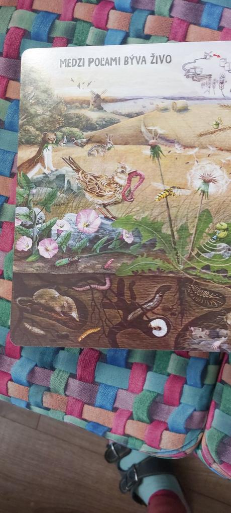 Albi kúzelné čítanie, 