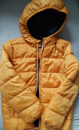 Bunda prechodna, 116