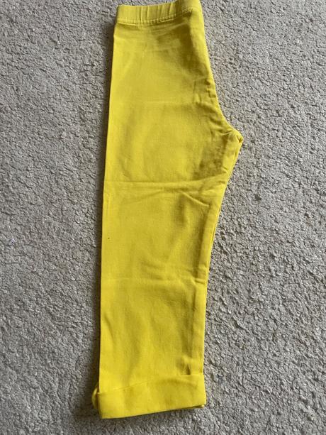 3/4leginy, coccodrillo,116