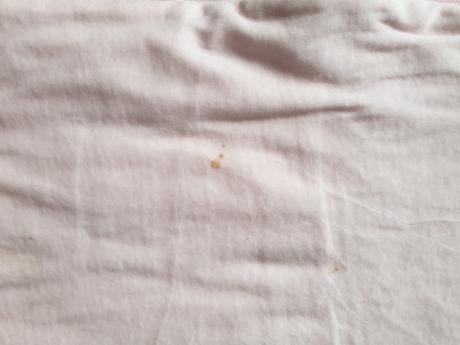 Bledoružový fusak,