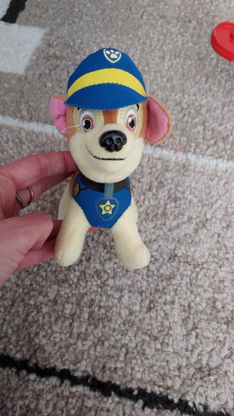 Plysak labkova patrola, 