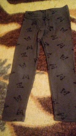 Motylove leginy, 104