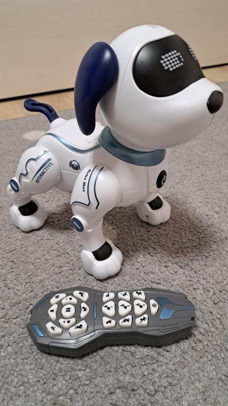 Robotický pes,
