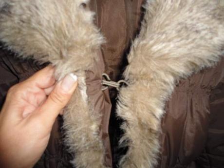 Krasna bunda znacka gl, s