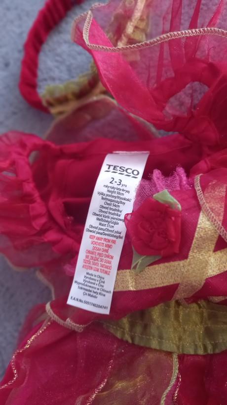 Karnevalový kostým, 