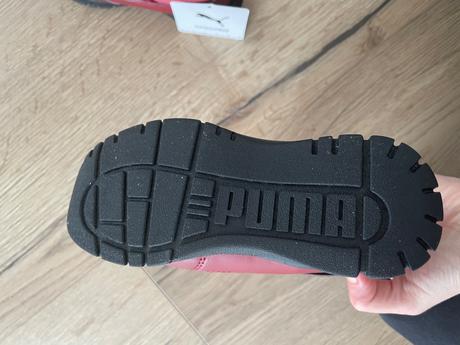 Snehule puma, puma,25