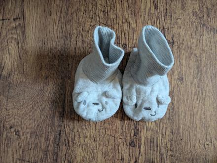 Capacky zamatové, 19