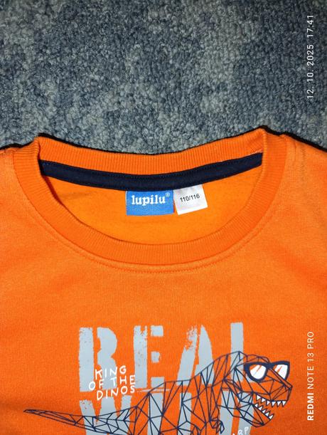 Chlapčenská mikina, lupilu,110