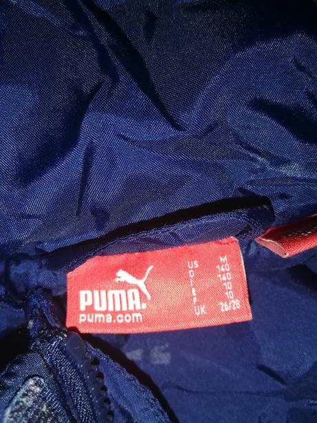 Vetrovka, puma,140