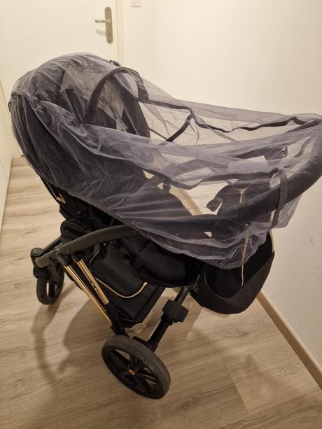 Kocik jasmine camino po jednom dietati, jasmine,jasmine camino